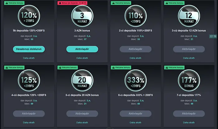 Aslan Casino Bonusları